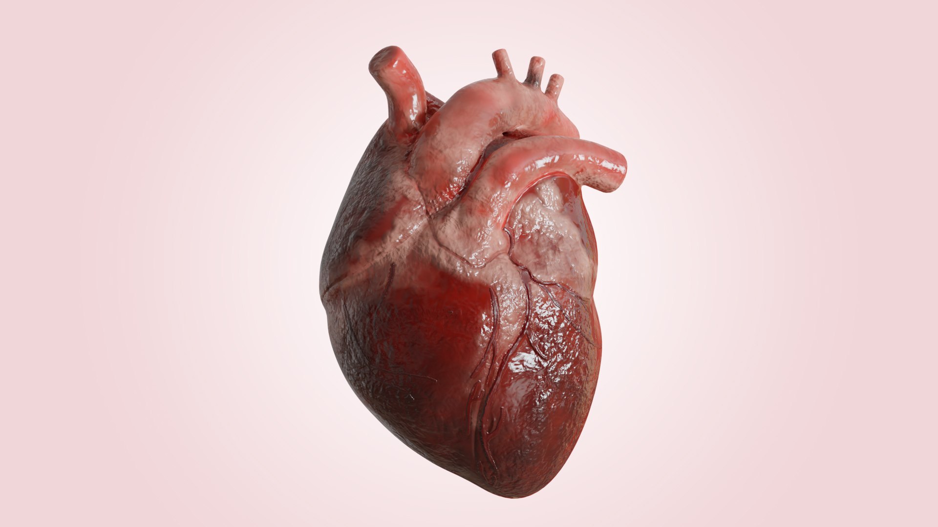 Best cardiologist in Bhopal | Dr. Chandra Kumar Singh, Best cardiologist in Bhopal, Dr. Chandra Kumar Singh Best Cardiologist in Bhopal, Heart Specialist in Bhopal, Cardiologist in Bhopal, Heart Doctor in Bhopal, Advanced Cardiac Care in Bhopal, Heart Clinic in Bhopal, Cardiac Consultation in Bhopal